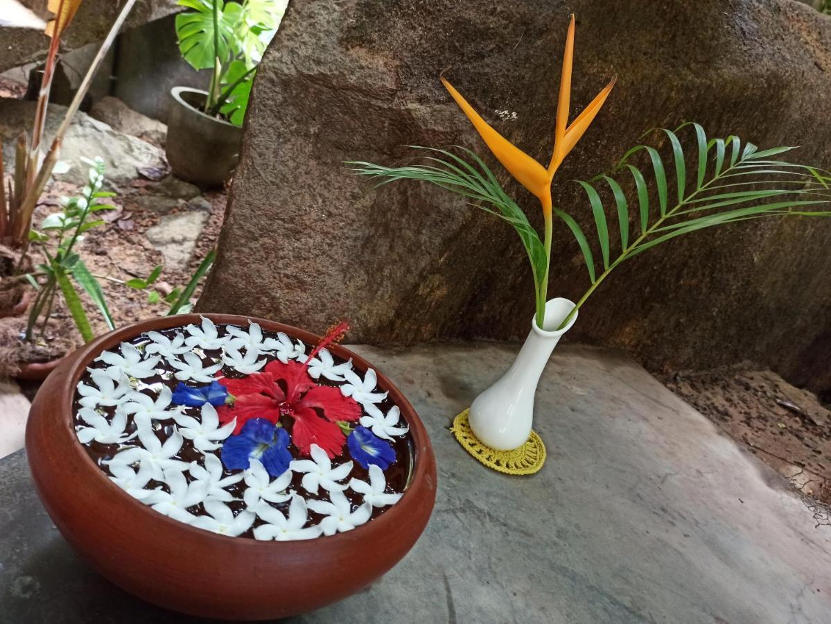 Butterfly Jewel Bed & Breakfast *